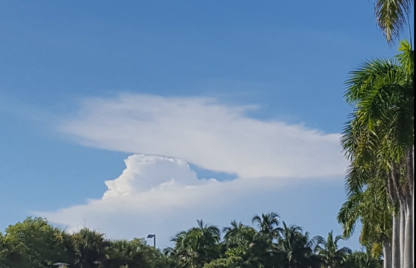 He shelters me, cloud wing covering 9-17