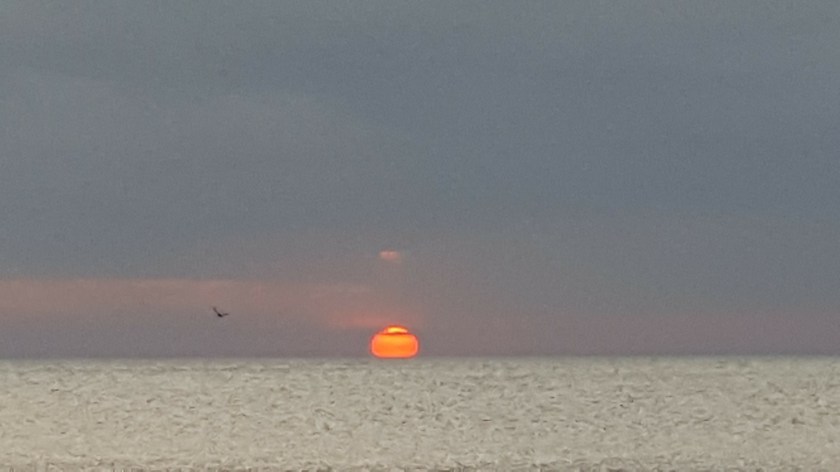 Orange ball on horizon in grey
