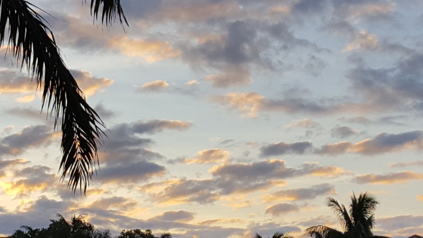 Dawn w clouds and light