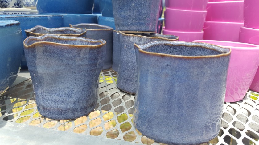 Pots at Austin succulents, Austin, TX