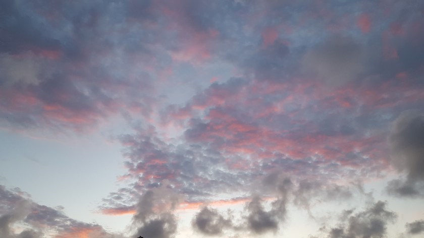 Sunrise surprise, pink on grey