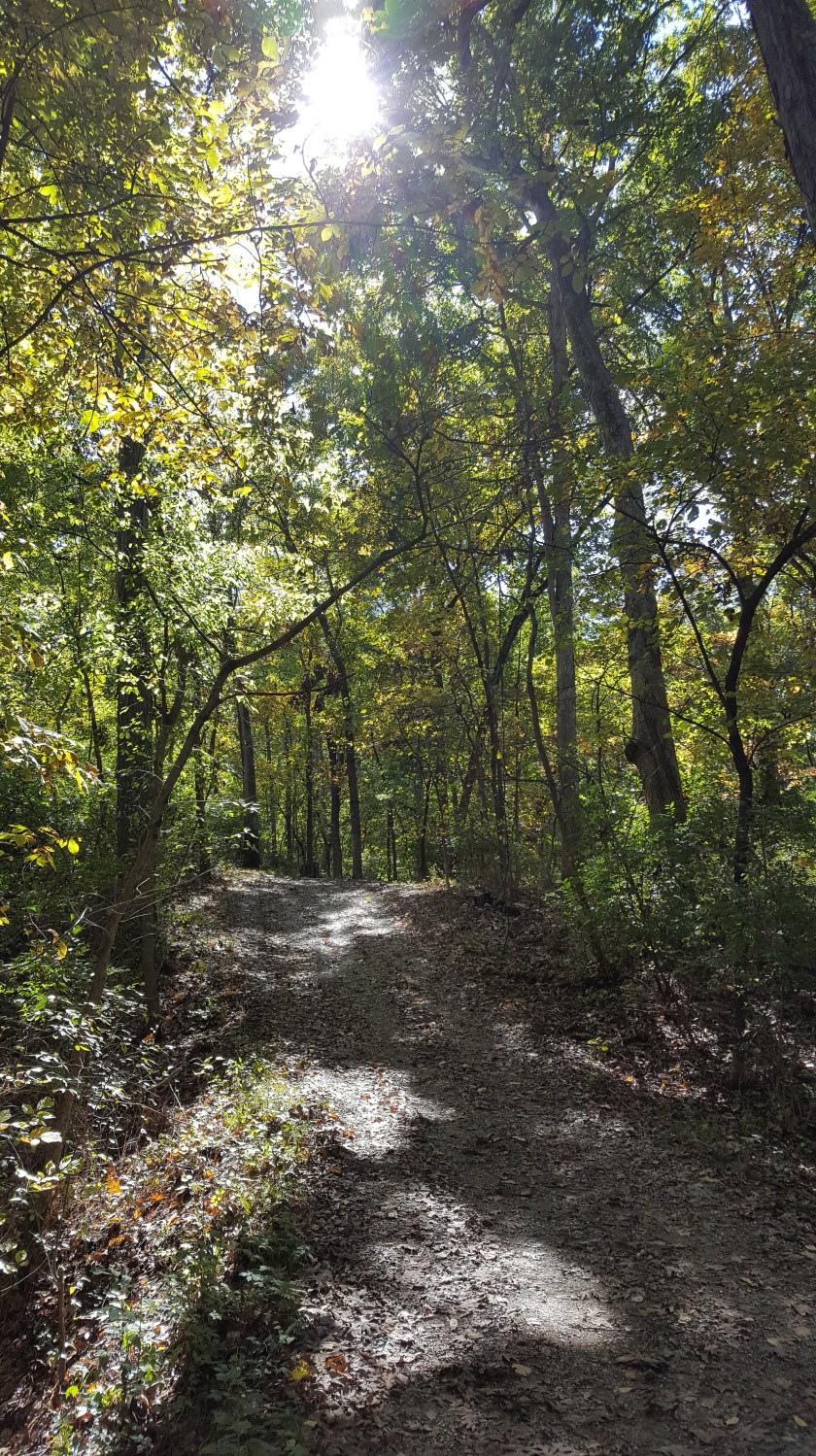 Path in woods at Queeny Park, St. Louis 10-17