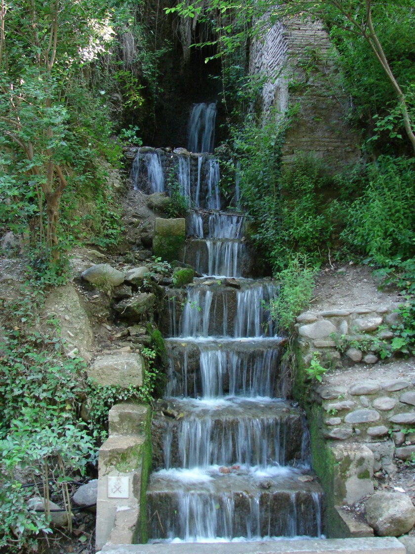 Lee's Camera as of Nov 2008 328