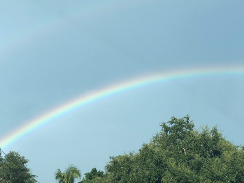 Rainbow, Sunday morning