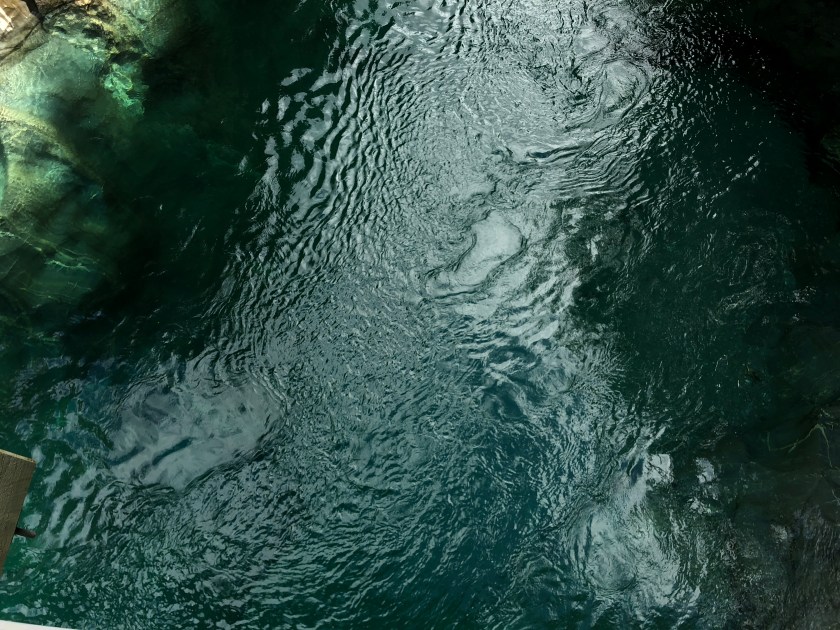 5CE80C74-E939-4F35-AF3F-826CA7804775