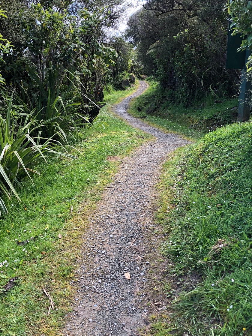 Pathway, W Coast NZ