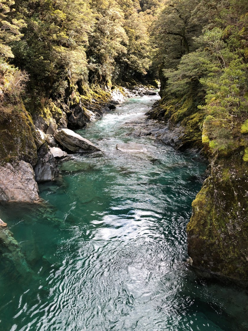 River, Blue Pools, Mt Aspiring Natl Park, NZ