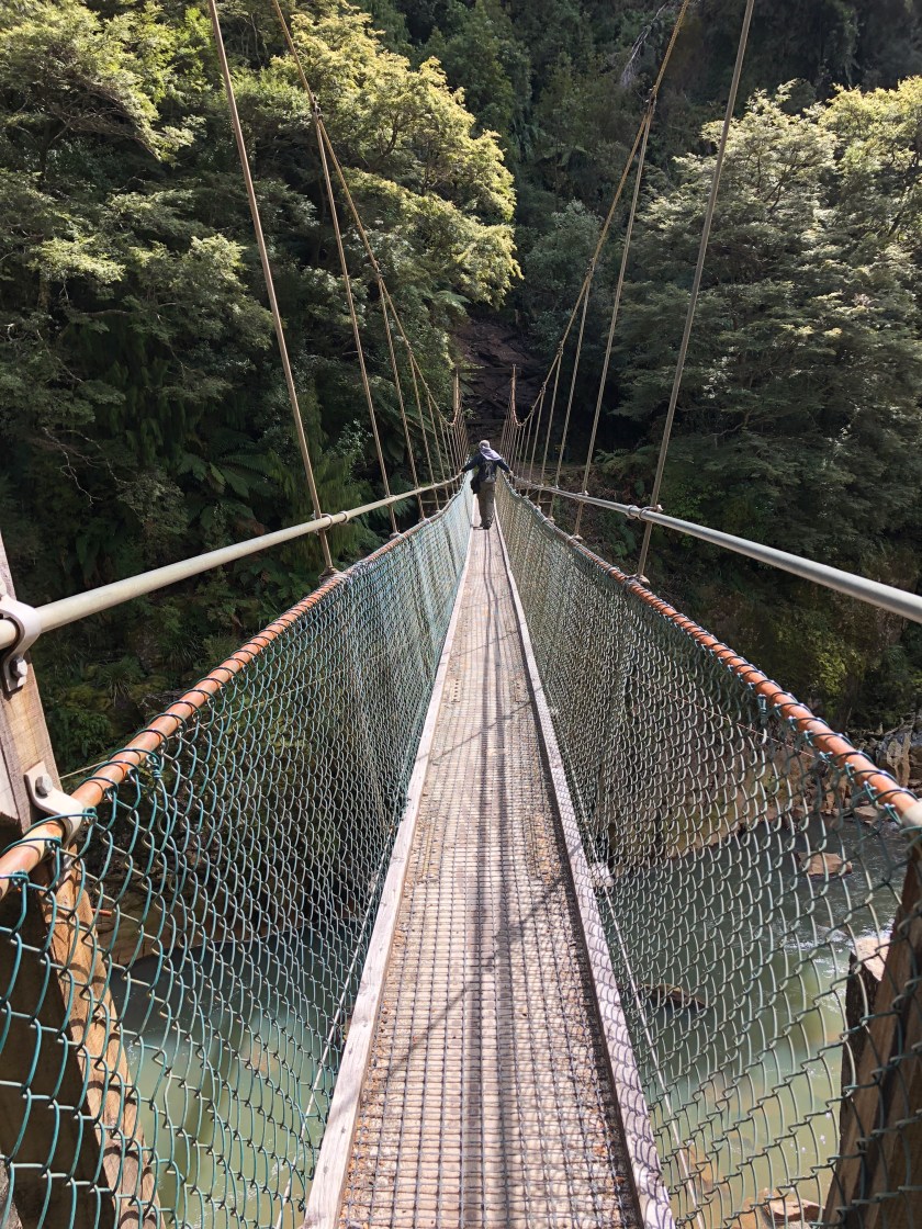 Suspension Bridge, W Coast NZ