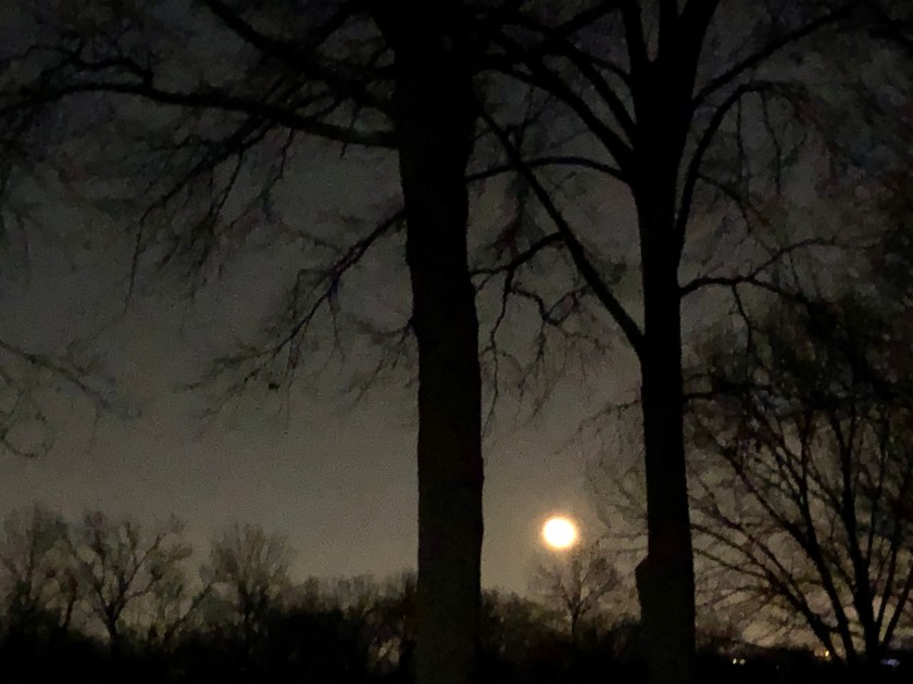 es2s1dxysjg8wivxe%bysg