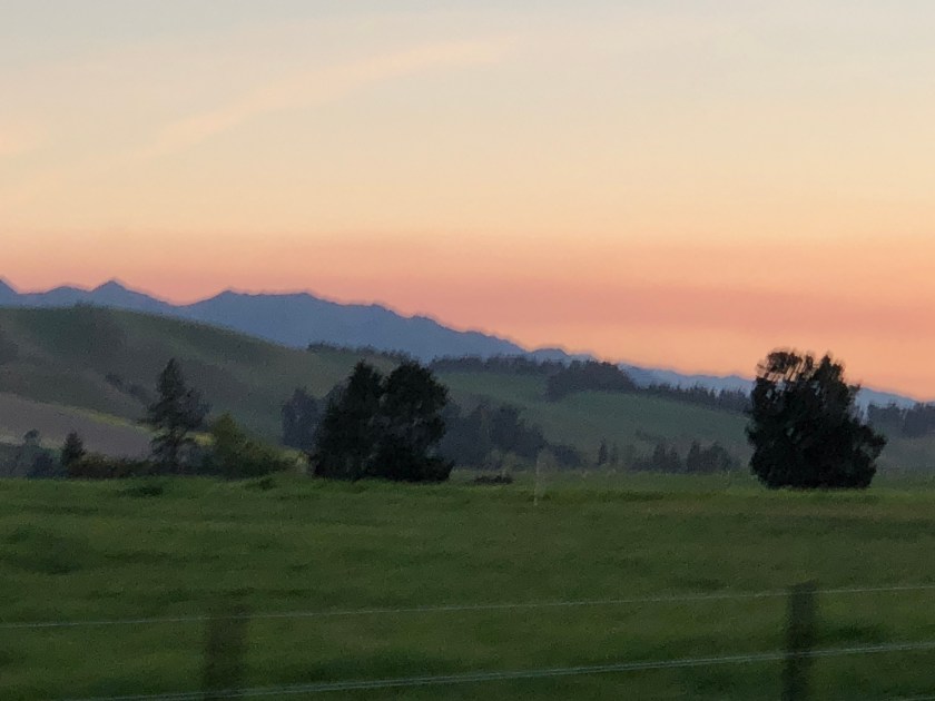 evening light, nz
