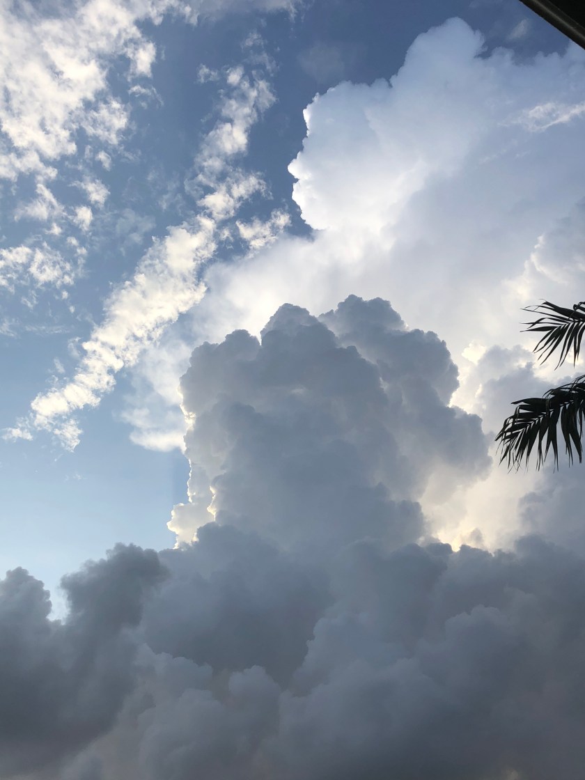 morning clouds w sun behind, vertical