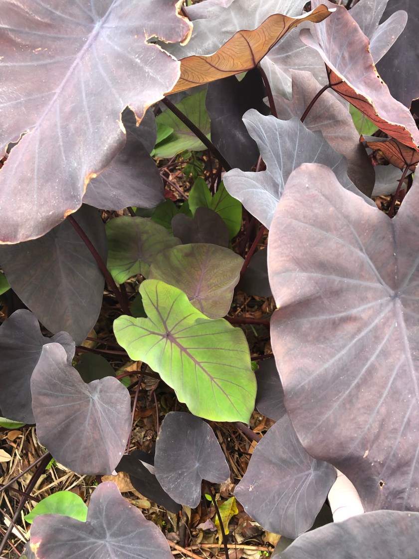 9sQDu7jFQy+HntF79%qpMQ