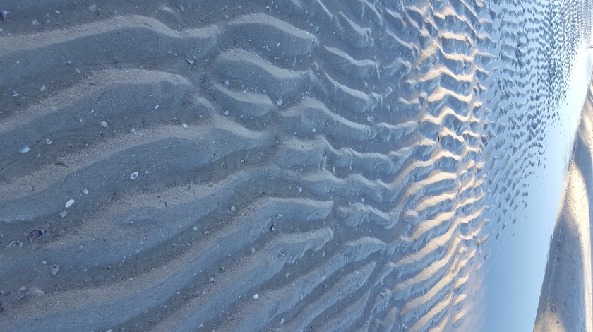 Rivulets in sand, vertical