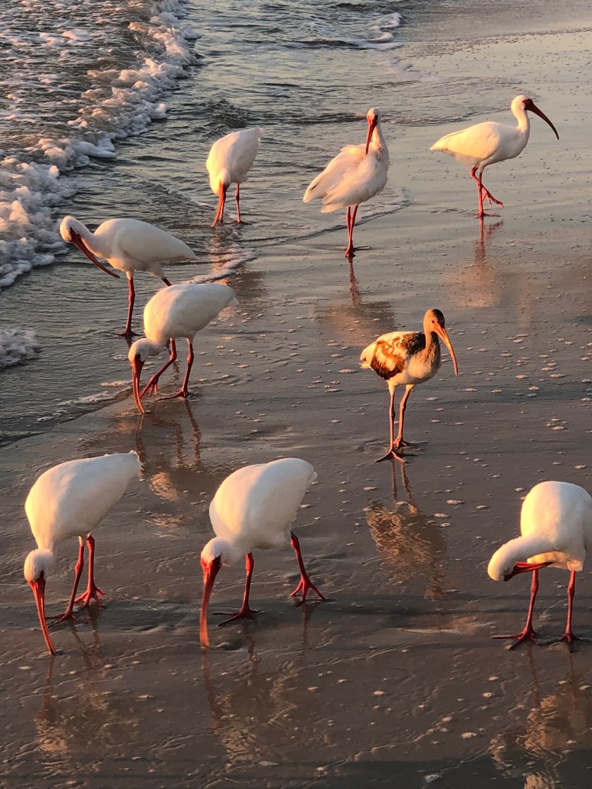 C379875C-10B3-41EF-B7D0-166E03D0320B