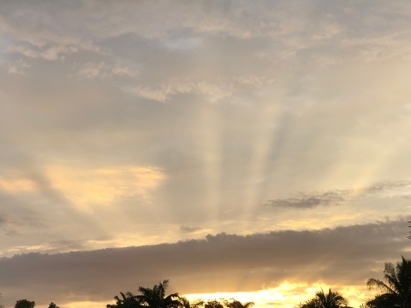 Sunrise grey and yellow w rays behind clouds