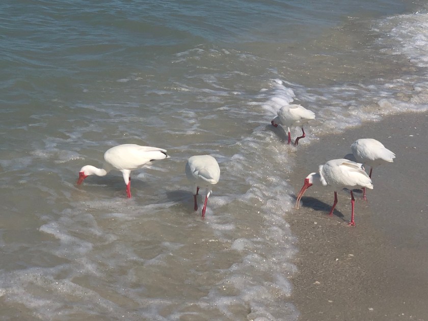 wclJcCmJSz2gmkx0zFacug