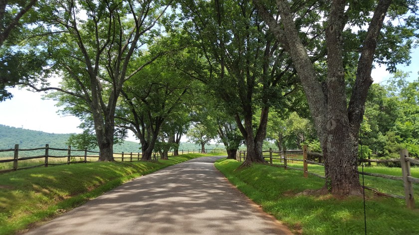 Albemarle Estate entrance road, Charlottesville