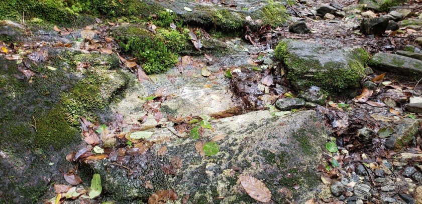 Wet rocks, slippery path, Highlands