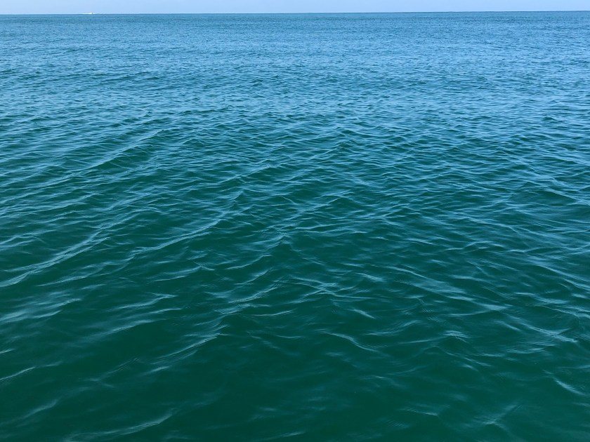 LO0l9XdgTOC9a+TIIRRIEg