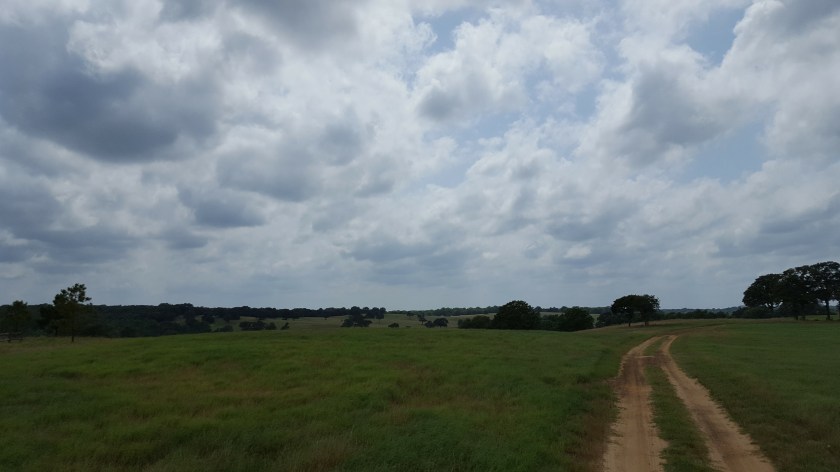 Long road ahead, Barefoot Ranch TX