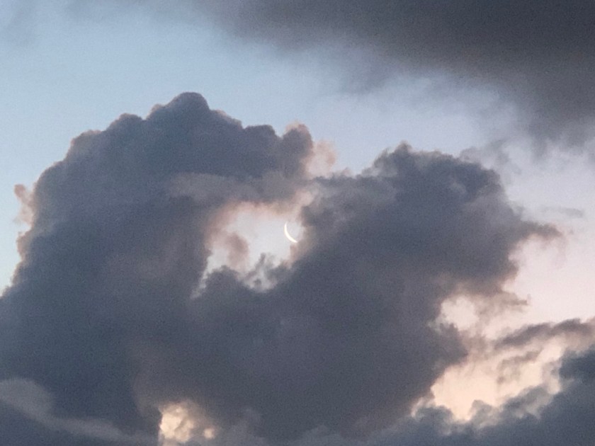 6twr0G94T3GZ5hu9wi+PJw