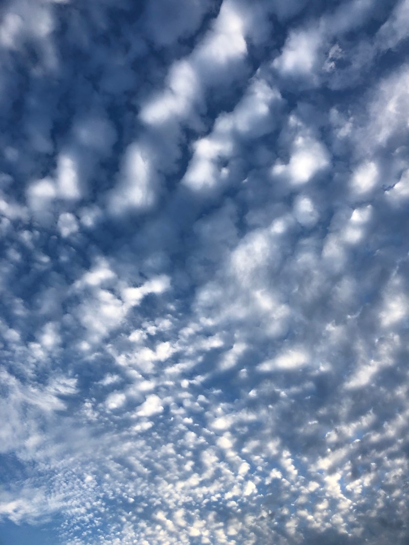 D2sPyuyjSYyB75NK%MnIdA