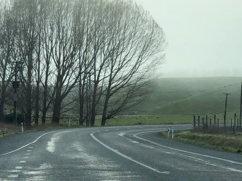 Damp winding road in fog, Southland, NZ