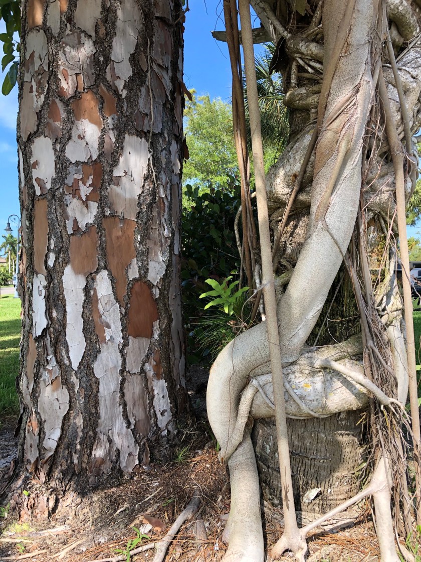 YLi60Xz%Qt+S+VB6T0G4zw