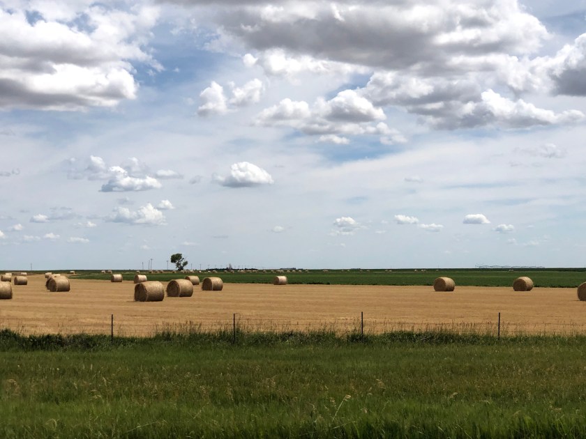 d19ew8lmR8G3oqq8UjXFlg