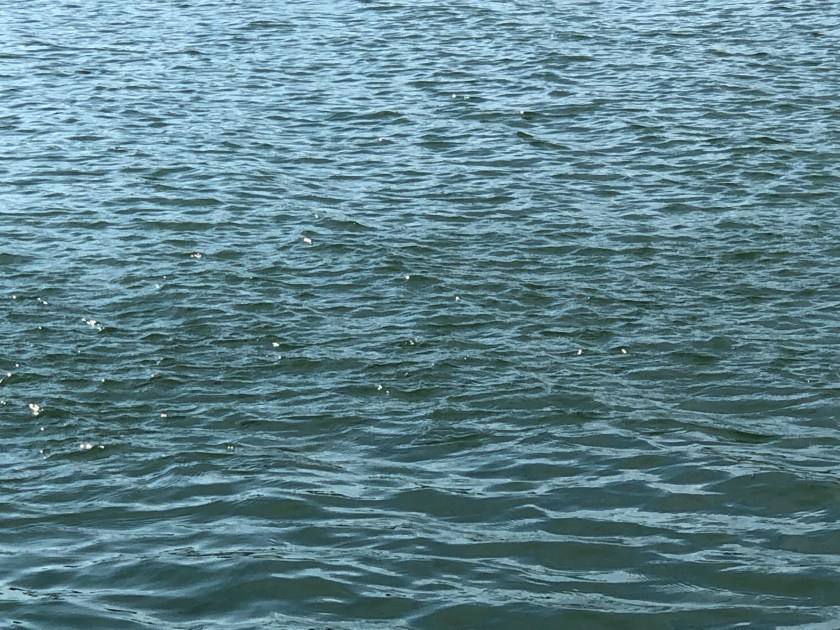 sH4ckWyqRjaVyQEImvq9Kg