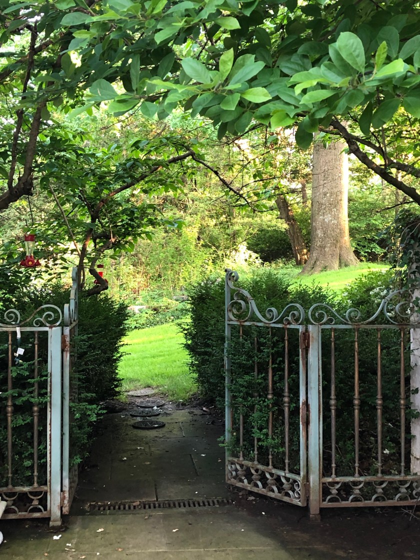 bGD5Iq1pTjWqM98l3HnyFQ