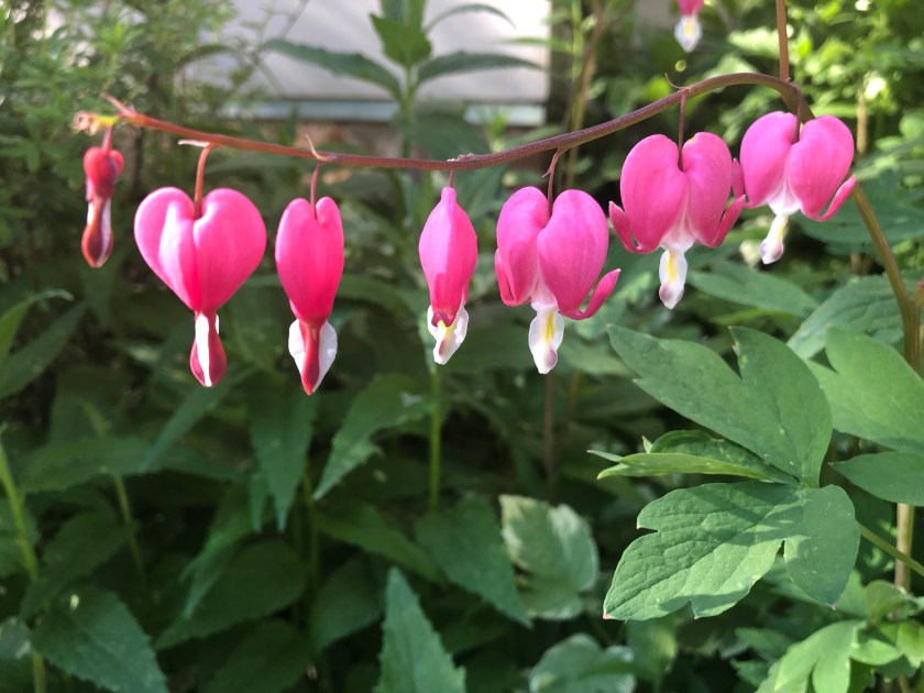 4xeu5ki0Skat5GljgiRedA