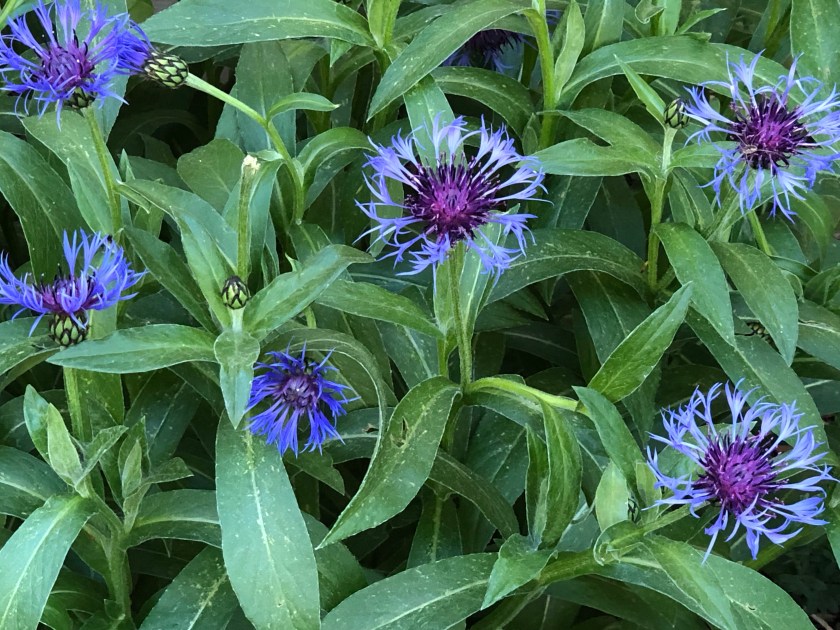 f4GktsJYT%6YTuuSfvznwQ