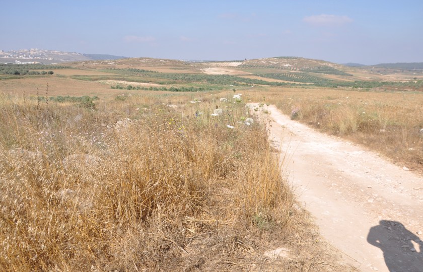 Dirt road to sea, Israel