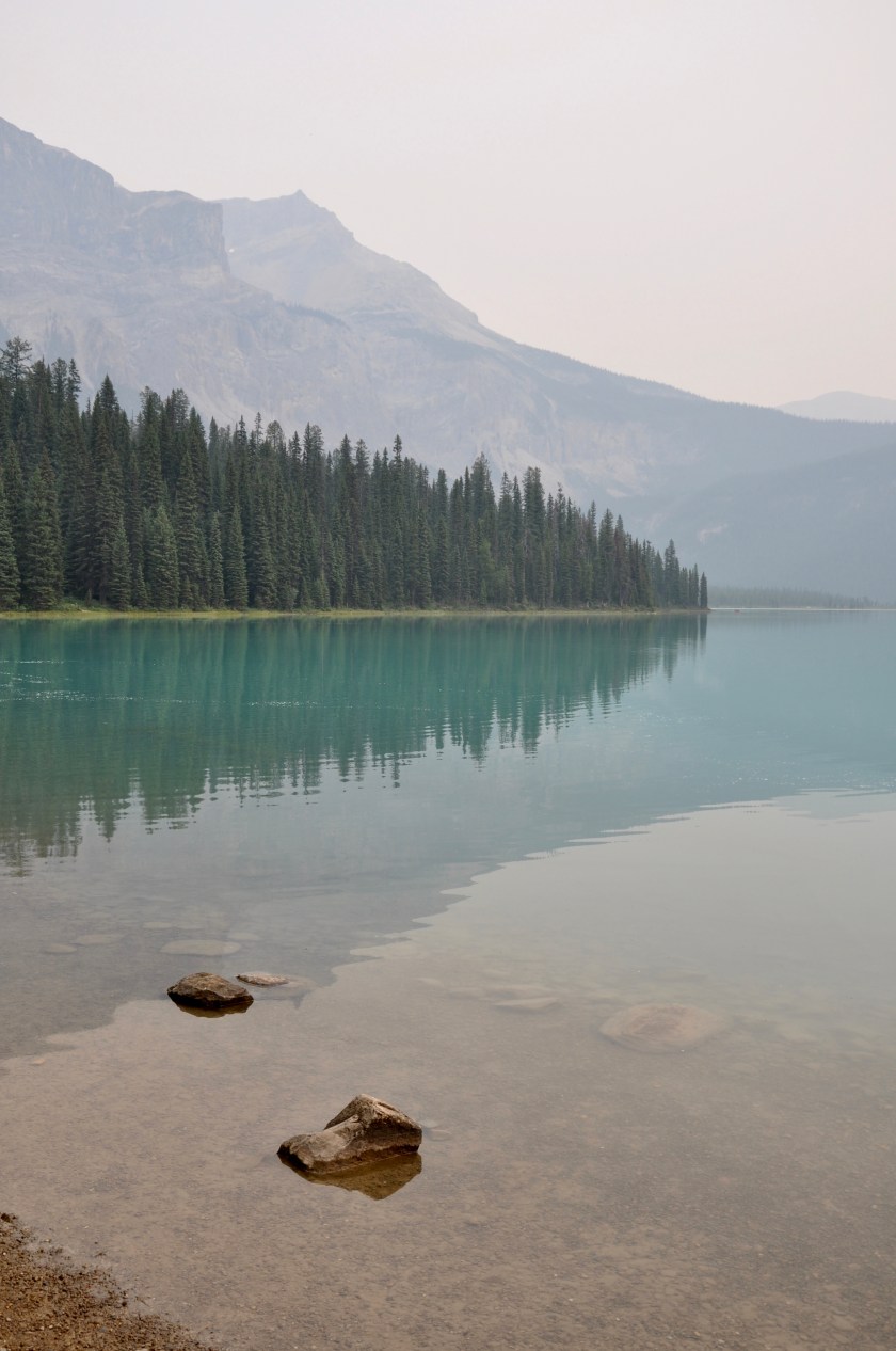 Lake Louise reflected, Canada, vertical
