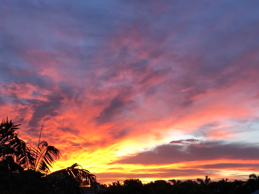 pPgEuCGcS1GnZr0otmuNYg