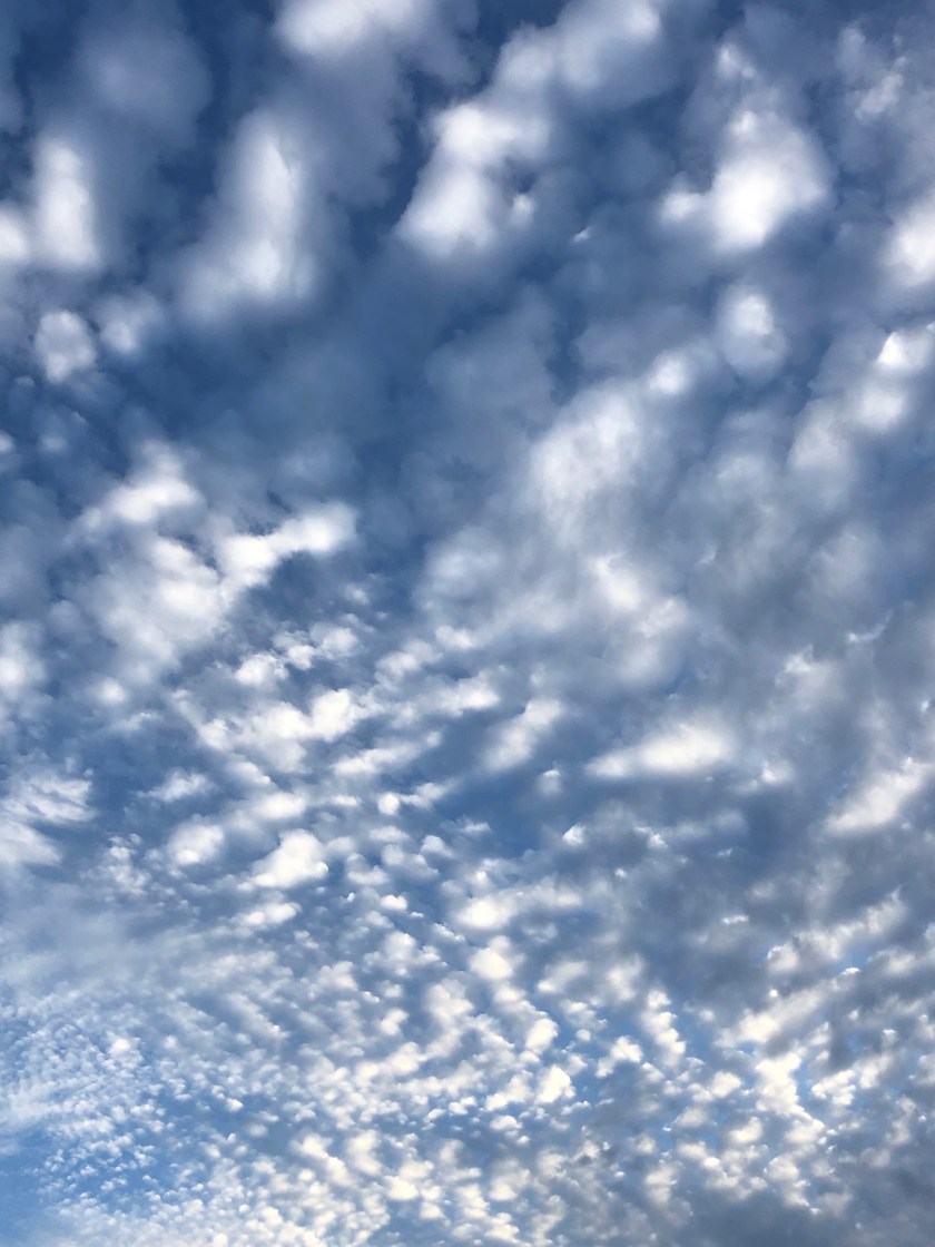 IUS5jiBQQq+N5NqZEPci8A