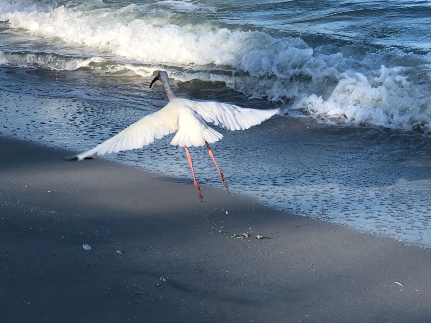 y%EYchQ4QOGAyRGoFlyRrQ