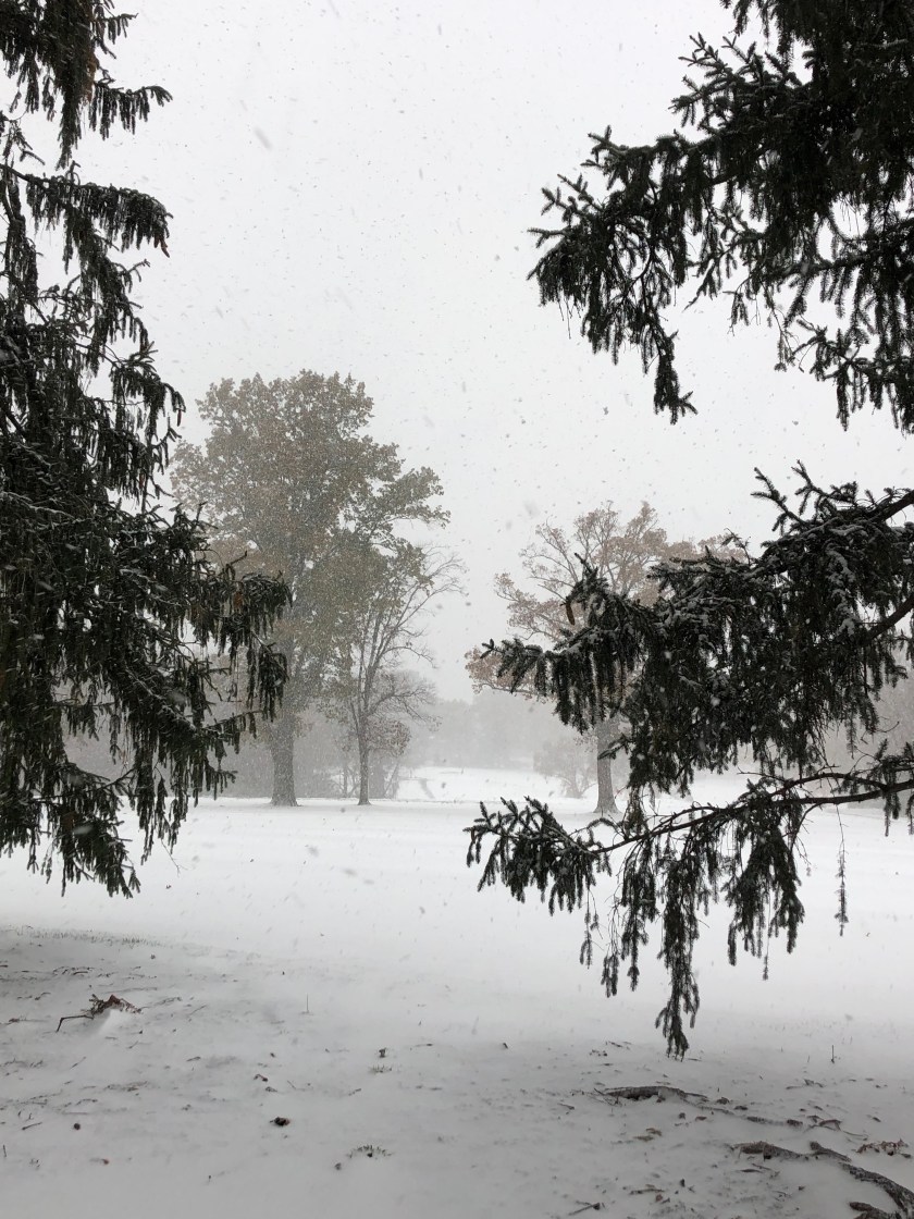 hwMwG8mIQ524CWc4Xt68nA