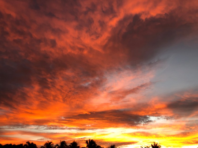 6941836D-DE28-46D3-8A4E-346127DD7448