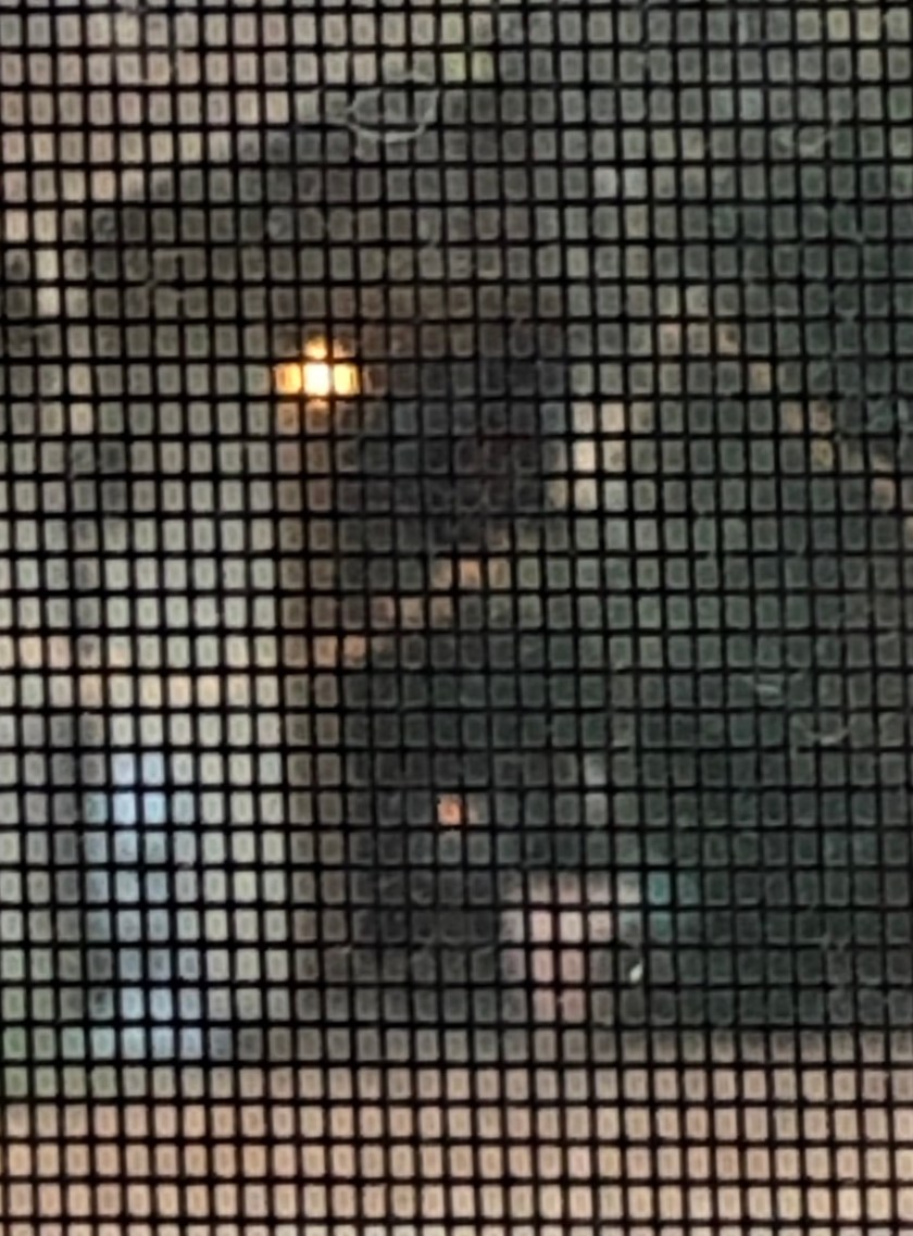 Fire through Neans Dr front door