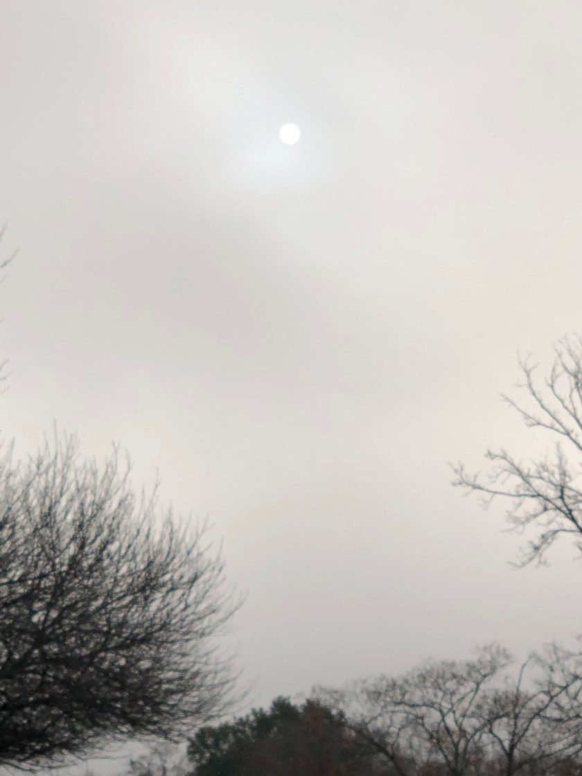 Morning sun in fog, Christmas, Austin