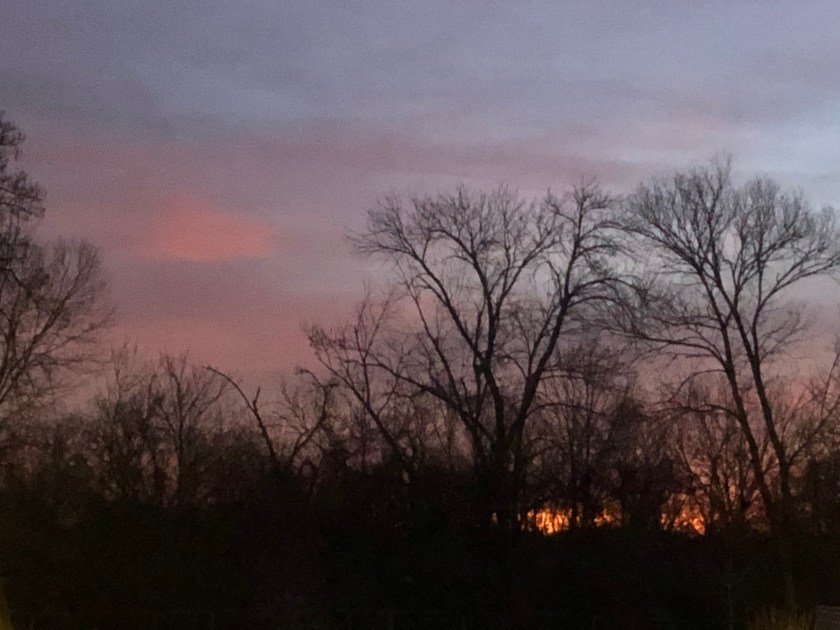 Winter dawn in St. Louis, Lindeman