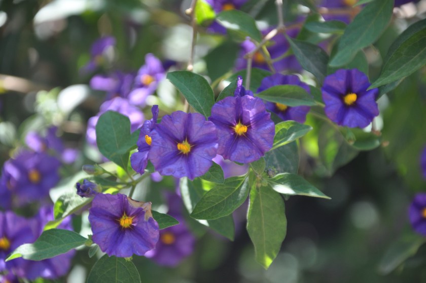 45BAFF21-D782-458A-B54E-36CB3988369D