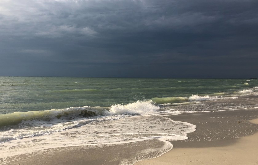 6046CE85-8B81-4258-9654-5D0FD7D071D2_1_201_a