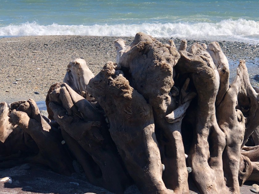 6EB1AE04-CC4A-40F8-A7C8-5BBDC88F24F2