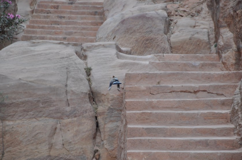 754FFFF8-B1A8-4C1C-8377-EBC4B8DD0123_1_201_a