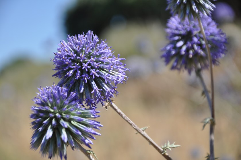 8B7A751A-34A7-4F7F-8B67-C921D429FD15