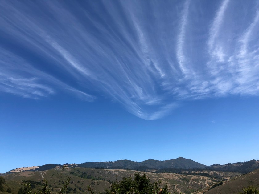 90A72EF8-F76C-4381-9110-B00748A9DDD2