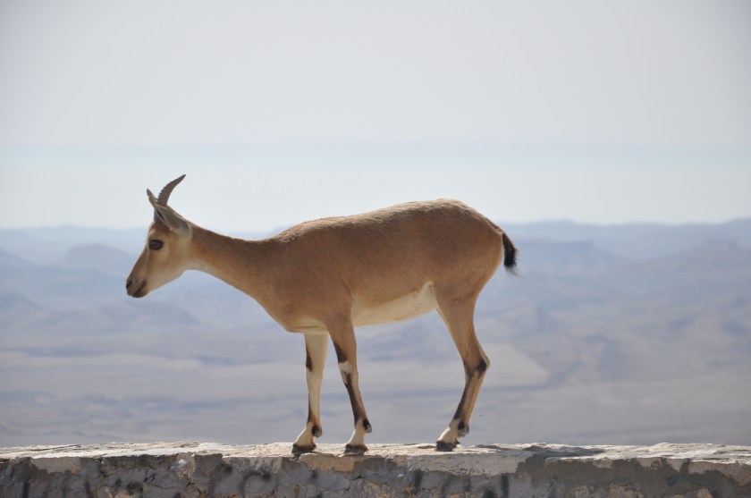 A9454307-C676-41EA-93BC-653EBC939003